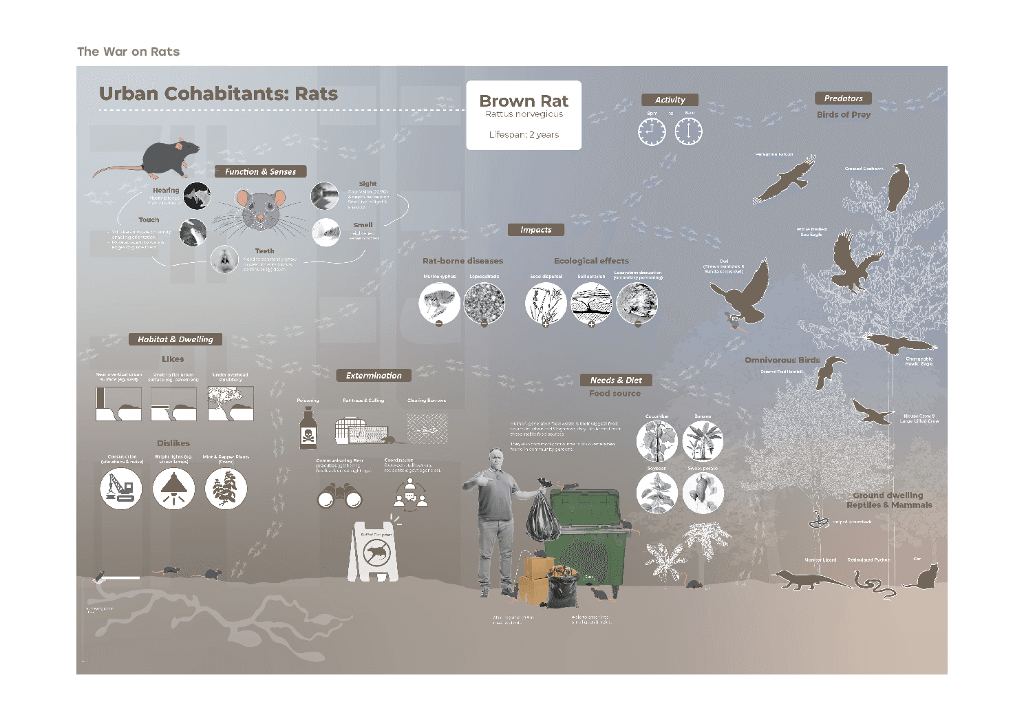 Among Others portfolio plate 2